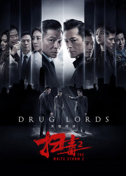 扫毒2.天地对决.2019.720p.BluRay.x264-DJYDXS 国粤 2.69G