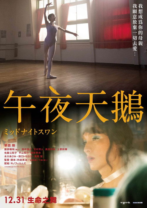 午夜天鹅Midnight.Swan.2020.1080p.BDRip.x264-DJYDXS 6.16G 同性
